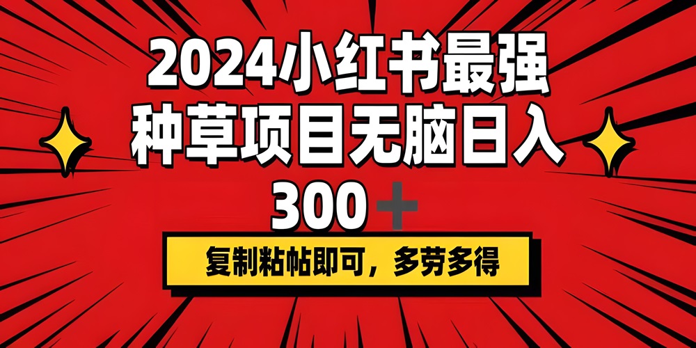 2024小红书最强种草项目，无脑日入300+，复制粘贴即可，多劳多得-金拓资源网