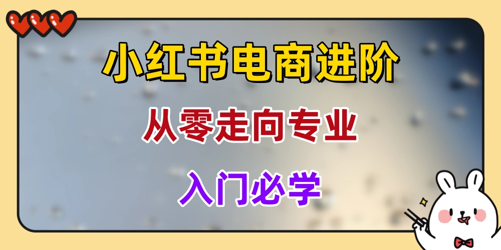 小红书电商进阶课程，从零开始走向专业，入门必学！-金拓资源网