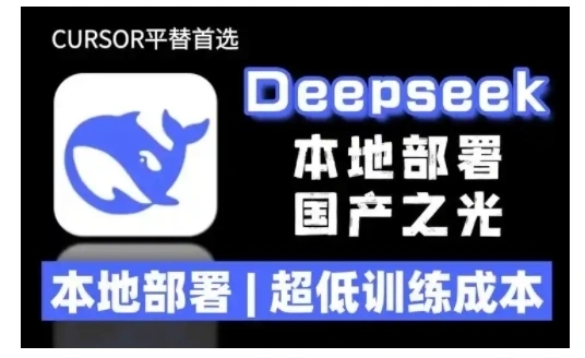 2025年deepseek R1 大型模型本地安装部署(文件+教程)本地部署，超低训练成本-金拓资源网