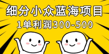 细分小众蓝海项目，一单利润3张，每月收入稳定过1w+-金拓资源网