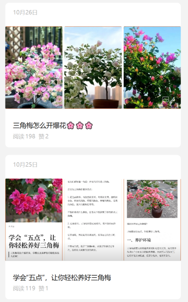 图片[5]_公众号的3种起号方式以及如何降低朱雀的AI率_金拓资源