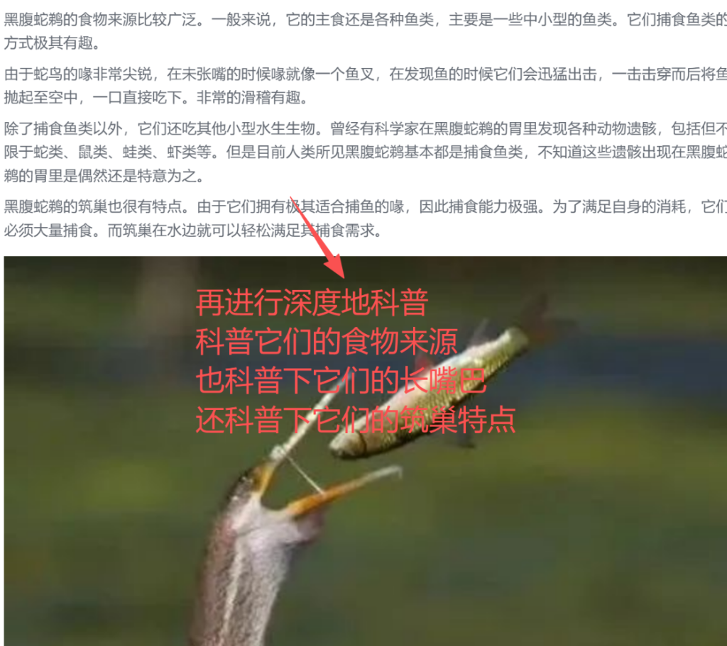 图片[8]_公众号动物科普该怎么写？_金拓资源