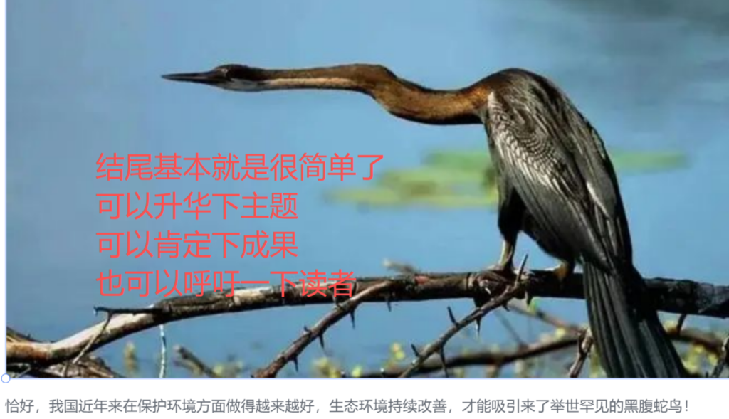 图片[10]_公众号动物科普该怎么写？_金拓资源