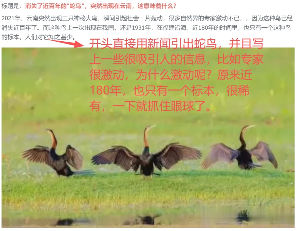 图片[6]_公众号动物科普该怎么写？_金拓资源