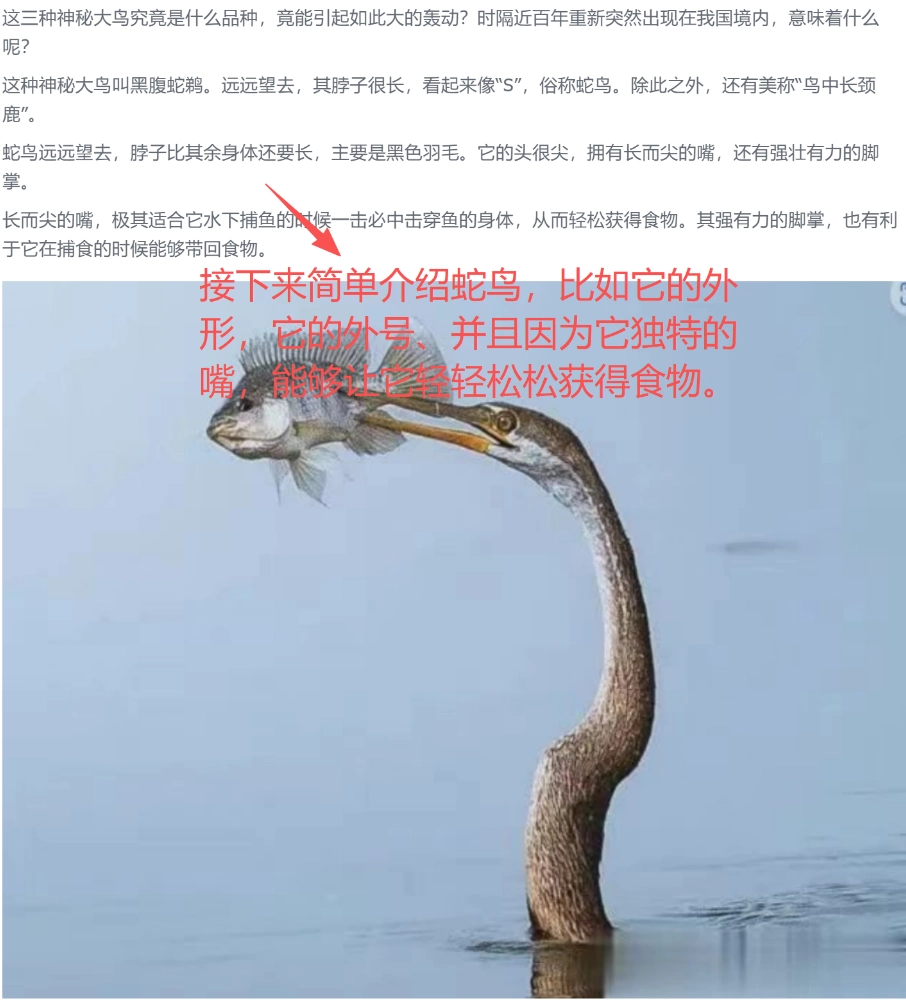 图片[7]_公众号动物科普该怎么写？_金拓资源